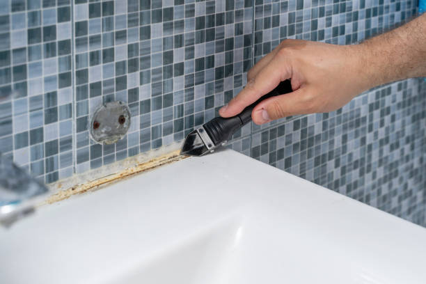 Best Commercial Mold Remediation in Yale, MI